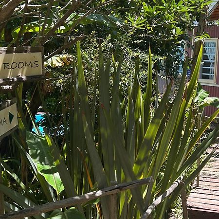 Bamboo, The Guest House Knysna Exterior photo