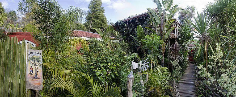 Bamboo, The Guest House Knysna Exterior photo
